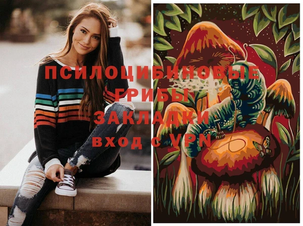 прущий лед Арсеньев